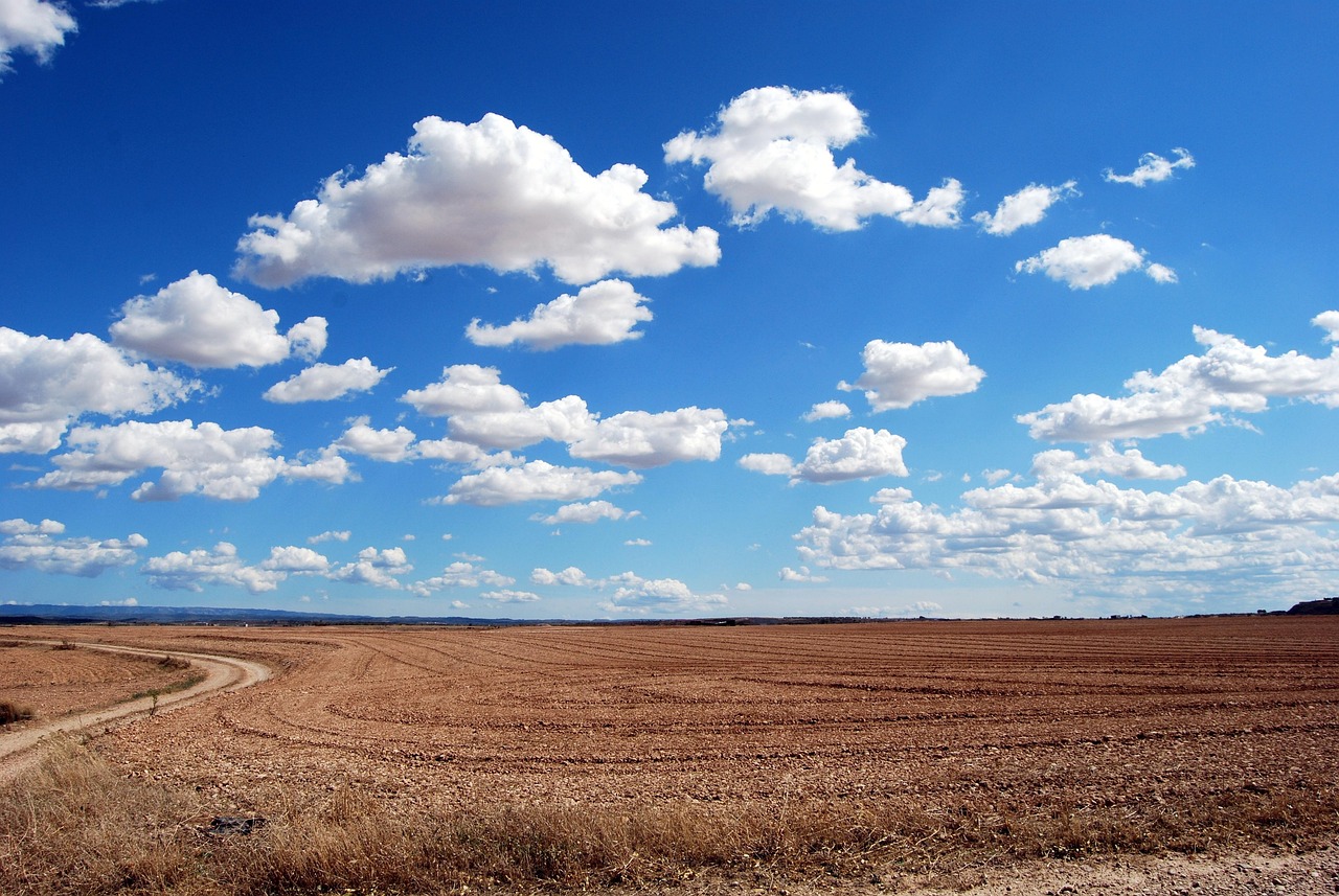 cumulus